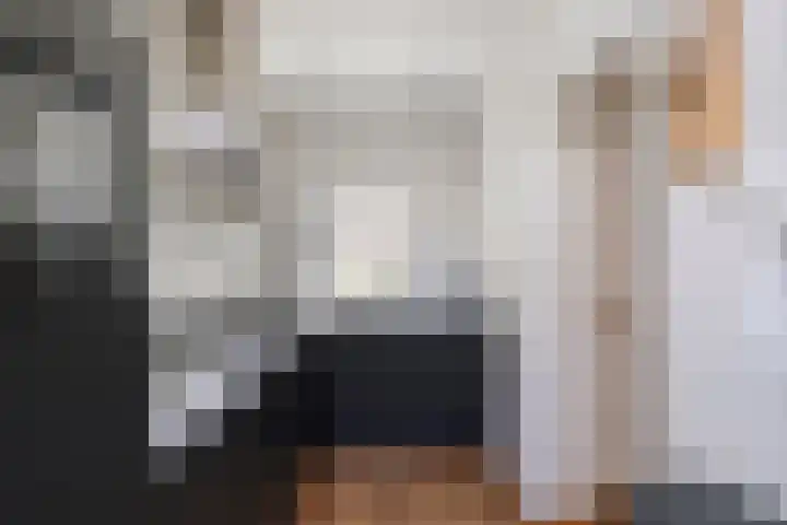 Houtweg 26 Alkmaar thumbnail 4