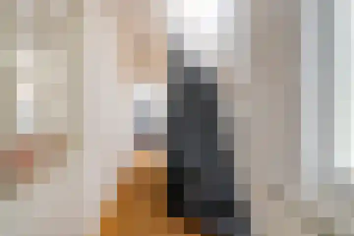 Houtweg 26 Alkmaar thumbnail 6