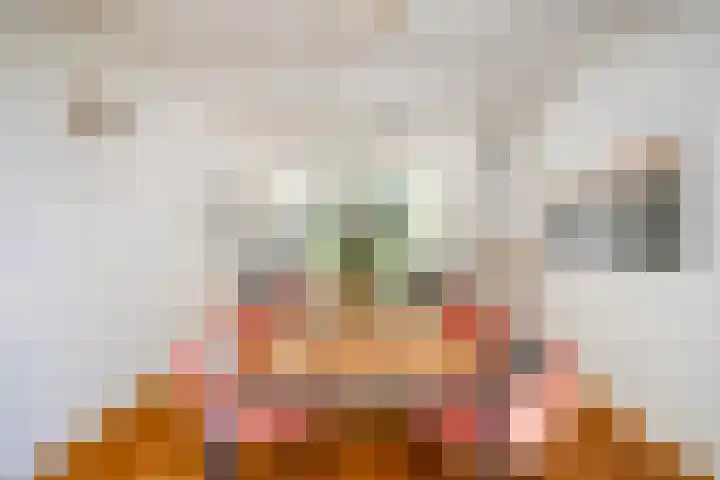 Houtweg 26 Alkmaar thumbnail 7