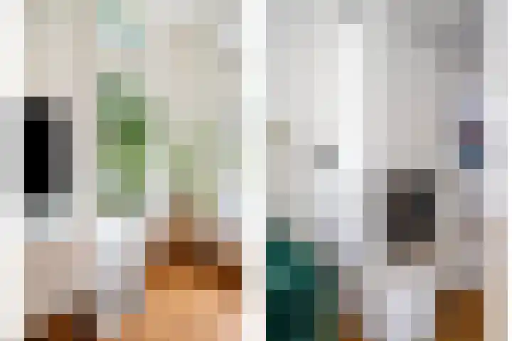 Houtweg 26 Alkmaar thumbnail 8