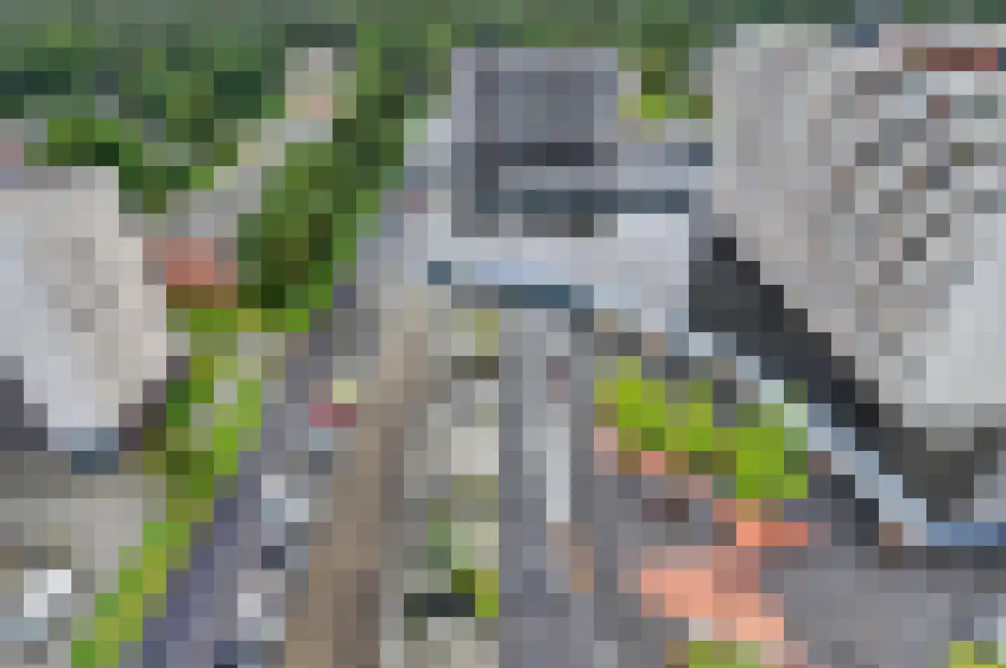Houtweg 261 Emmen thumbnail 42