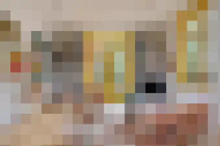Houtweg 27 Alkmaar thumbnail 11