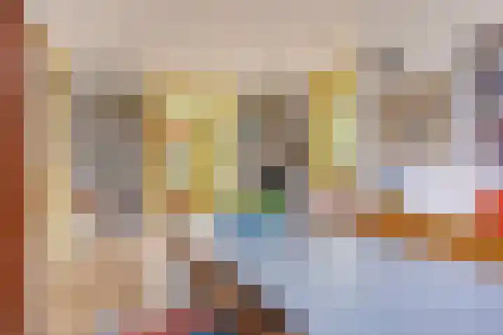 Houtweg 27 Alkmaar thumbnail 17