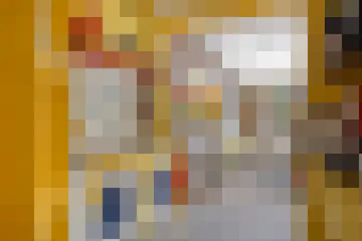 Houtweg 27 Alkmaar thumbnail 19