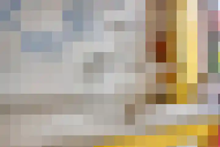 Houtweg 27 Alkmaar thumbnail 20