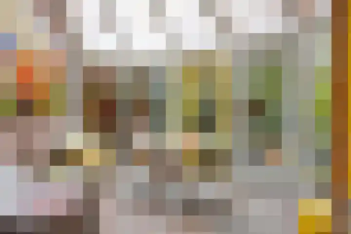 Houtweg 27 Alkmaar thumbnail 21