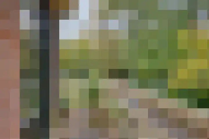Houtweg 27 Alkmaar thumbnail 30