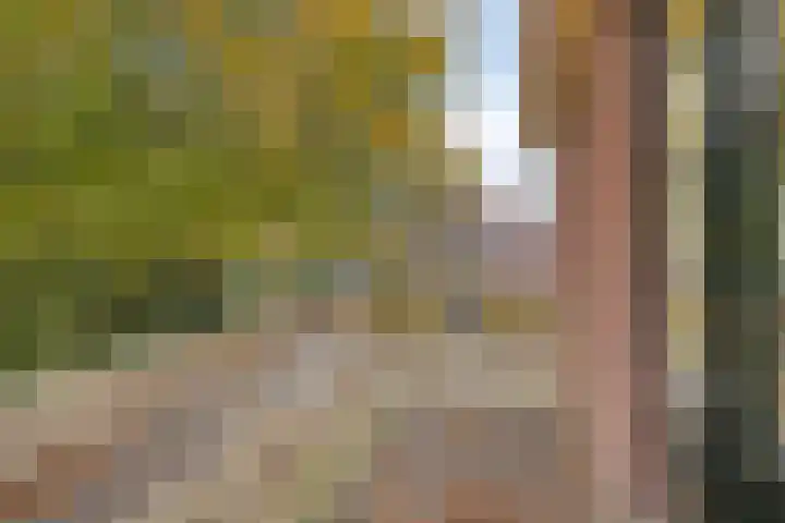 Houtweg 27 Alkmaar thumbnail 31