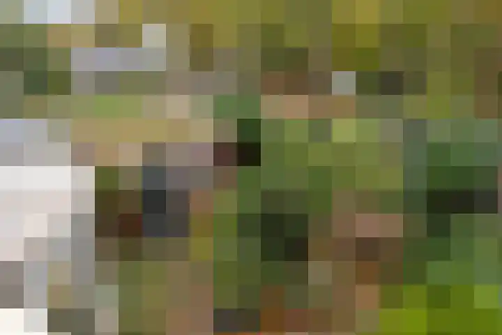 Houtweg 27 Alkmaar thumbnail 33