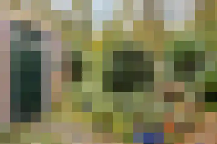 Houtweg 27 Alkmaar thumbnail 34