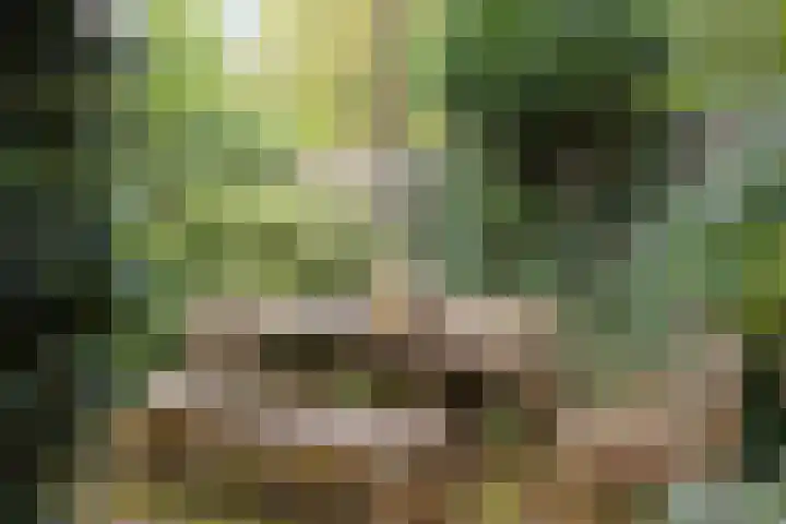 Houtweg 27 Alkmaar thumbnail 35