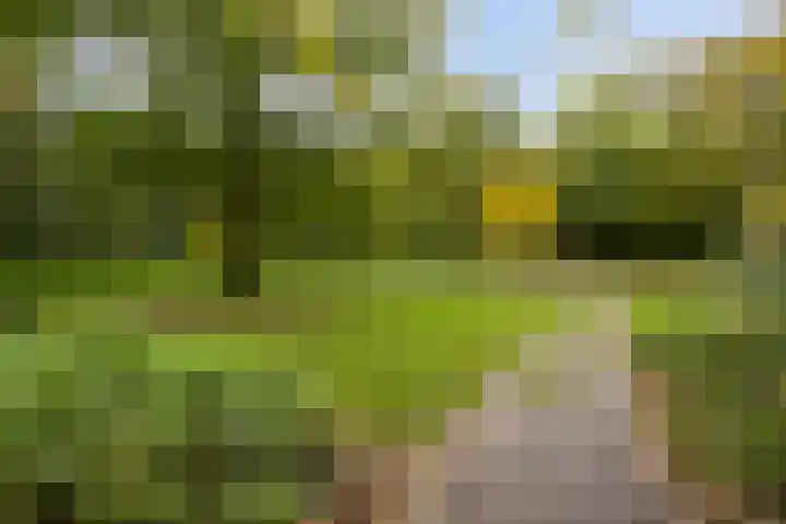 Houtweg 27 Alkmaar thumbnail 36