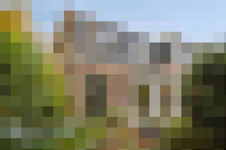 Houtweg 27 Alkmaar thumbnail 4