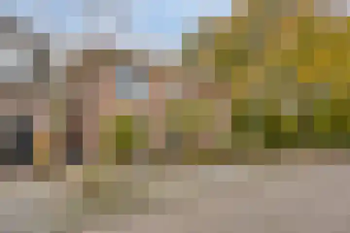 Houtweg 27 Alkmaar thumbnail 5