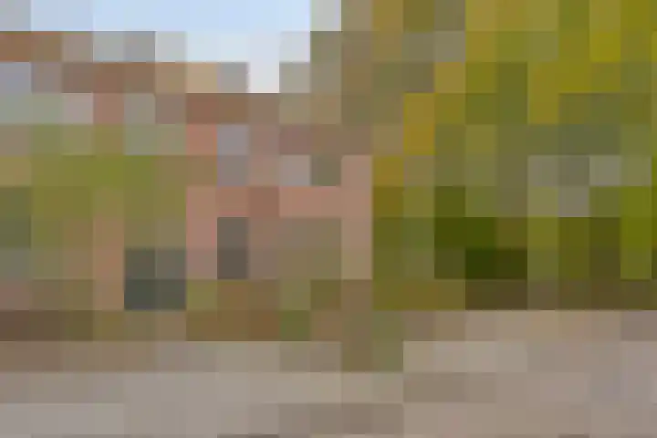 Houtweg 27 Alkmaar thumbnail 6