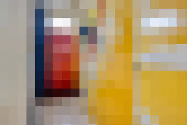 Houtweg 27 Alkmaar thumbnail 8