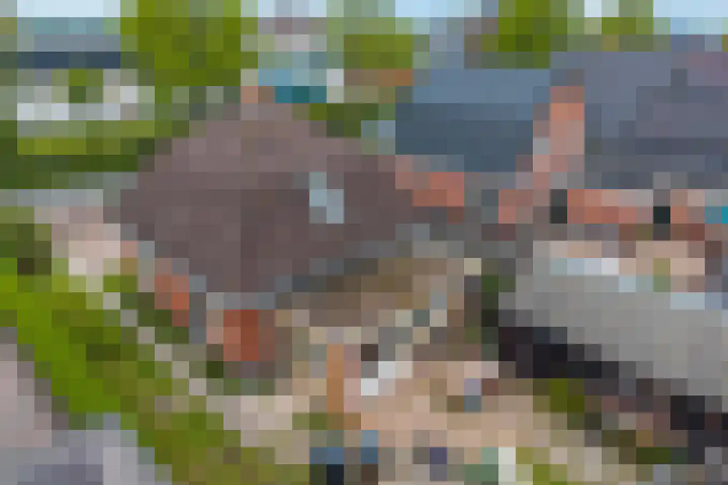 Houtweg 30 Farmsum thumbnail 34