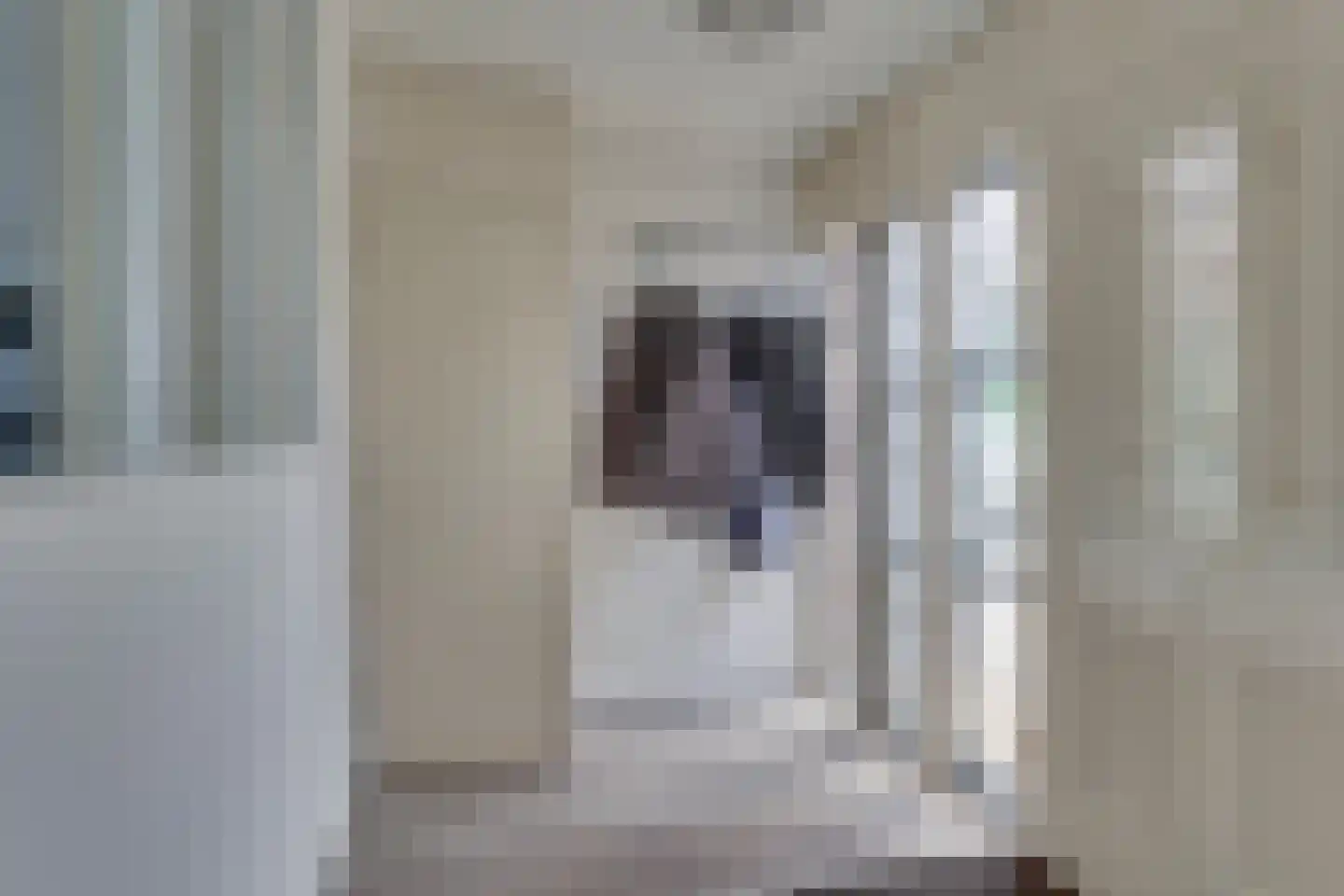 Houtweg 33 Holten thumbnail 14