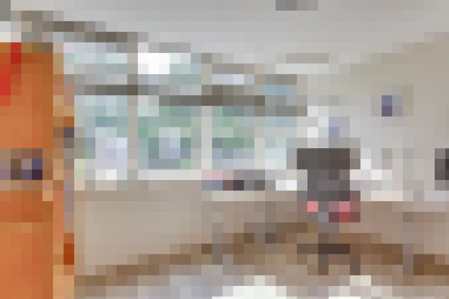 Houtweg 33 Holten thumbnail 20