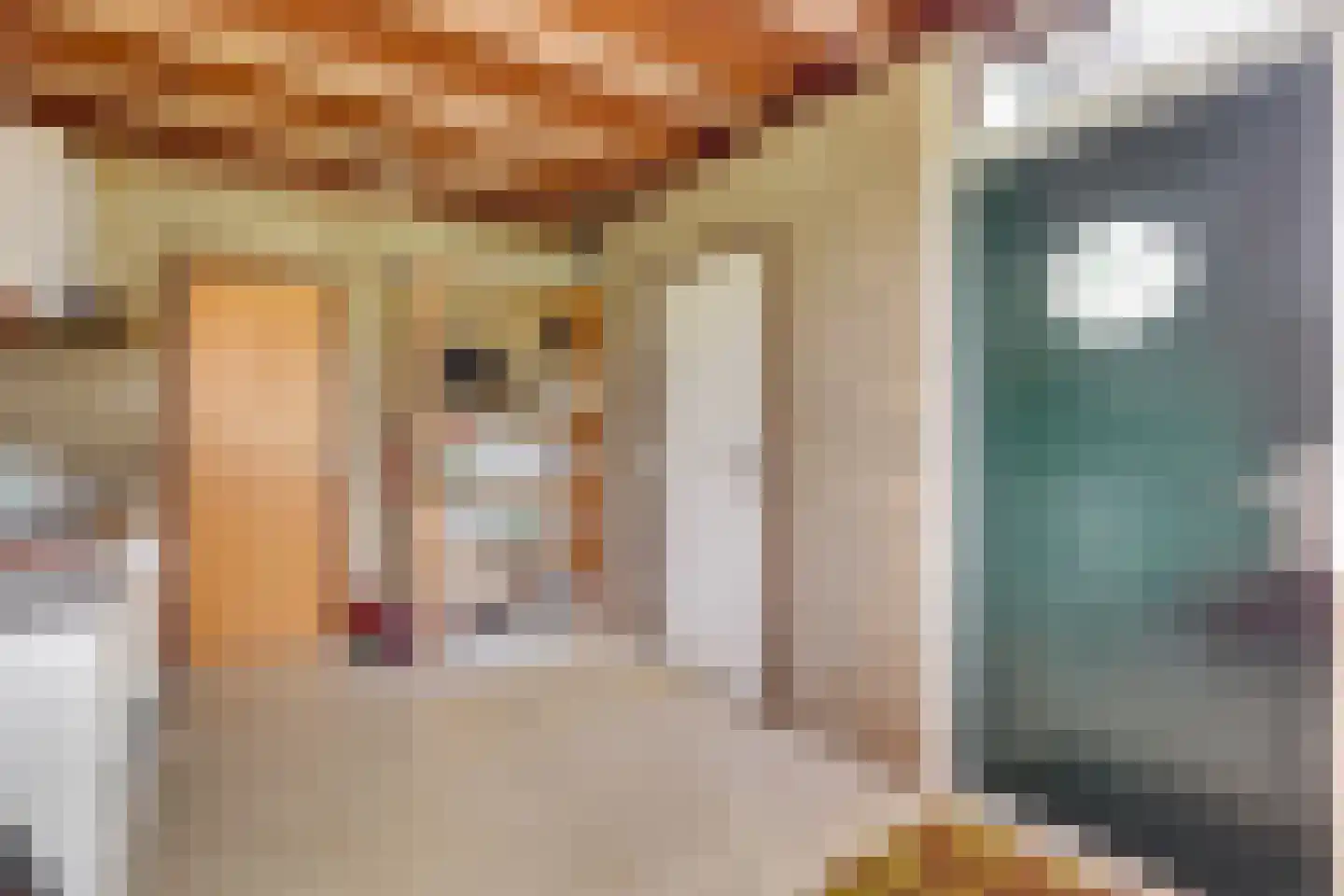 Houtweg 33 Holten thumbnail 24