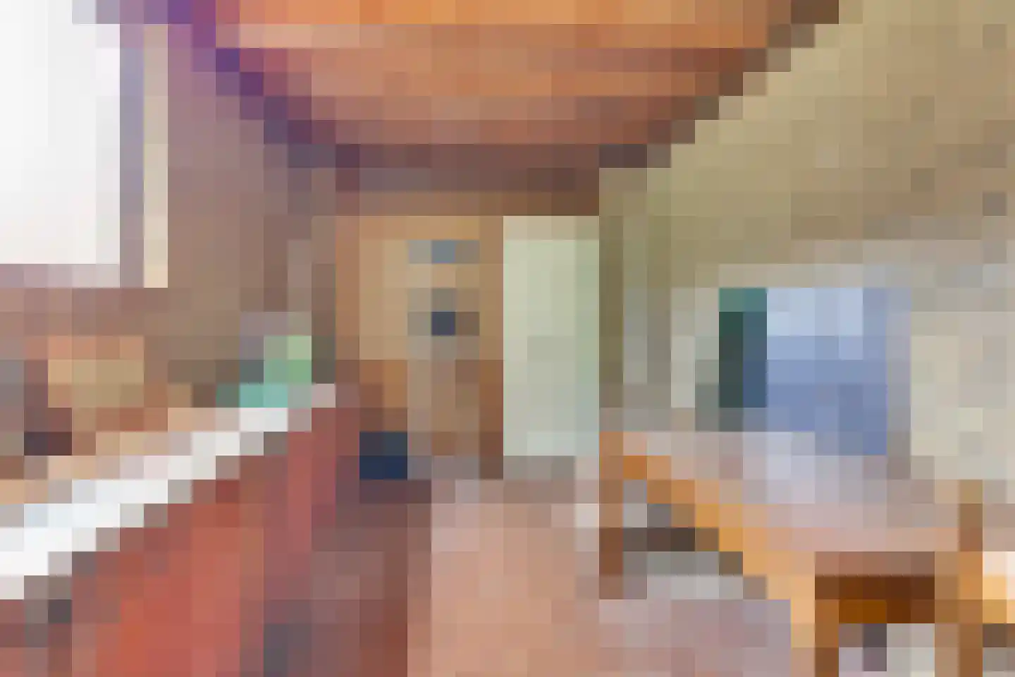 Houtweg 33 Holten thumbnail 26