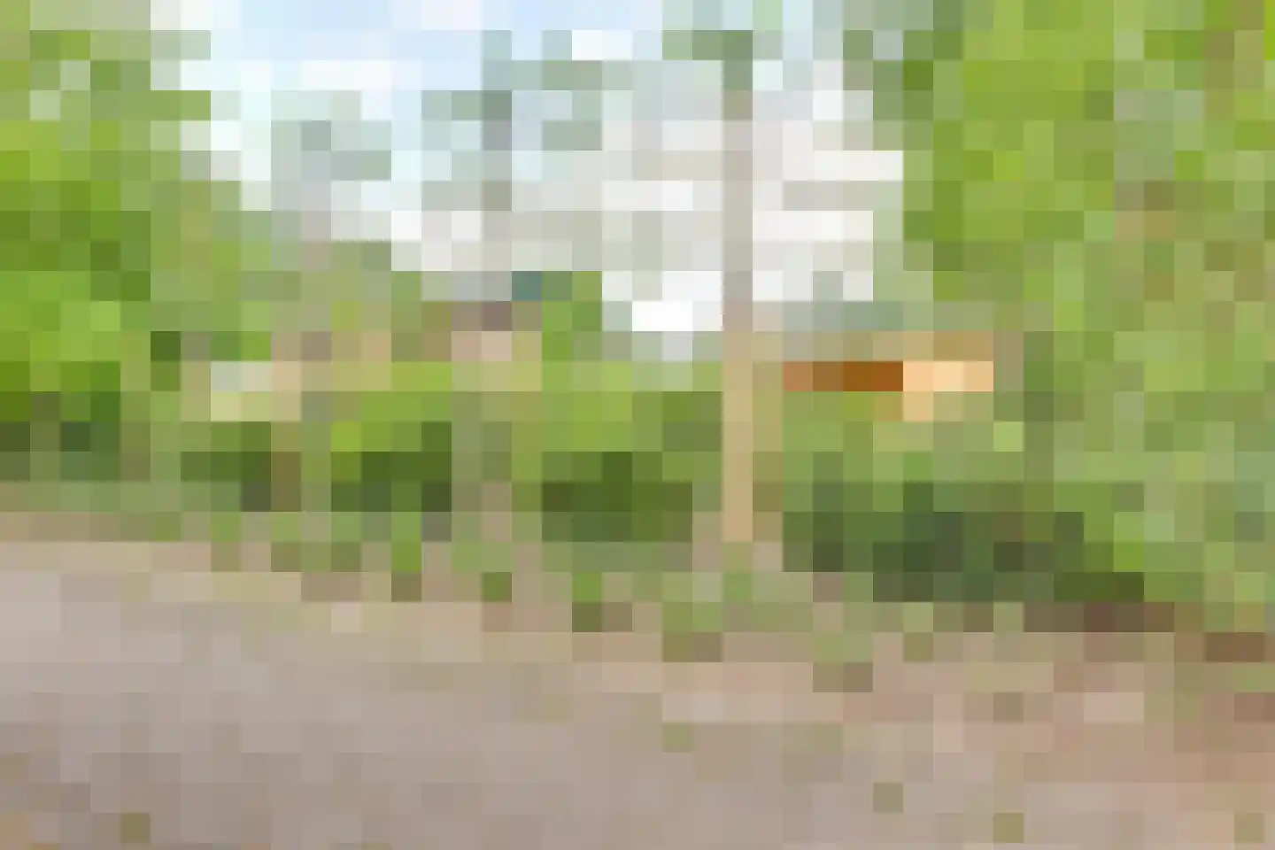 Houtweg 33 Holten thumbnail 40