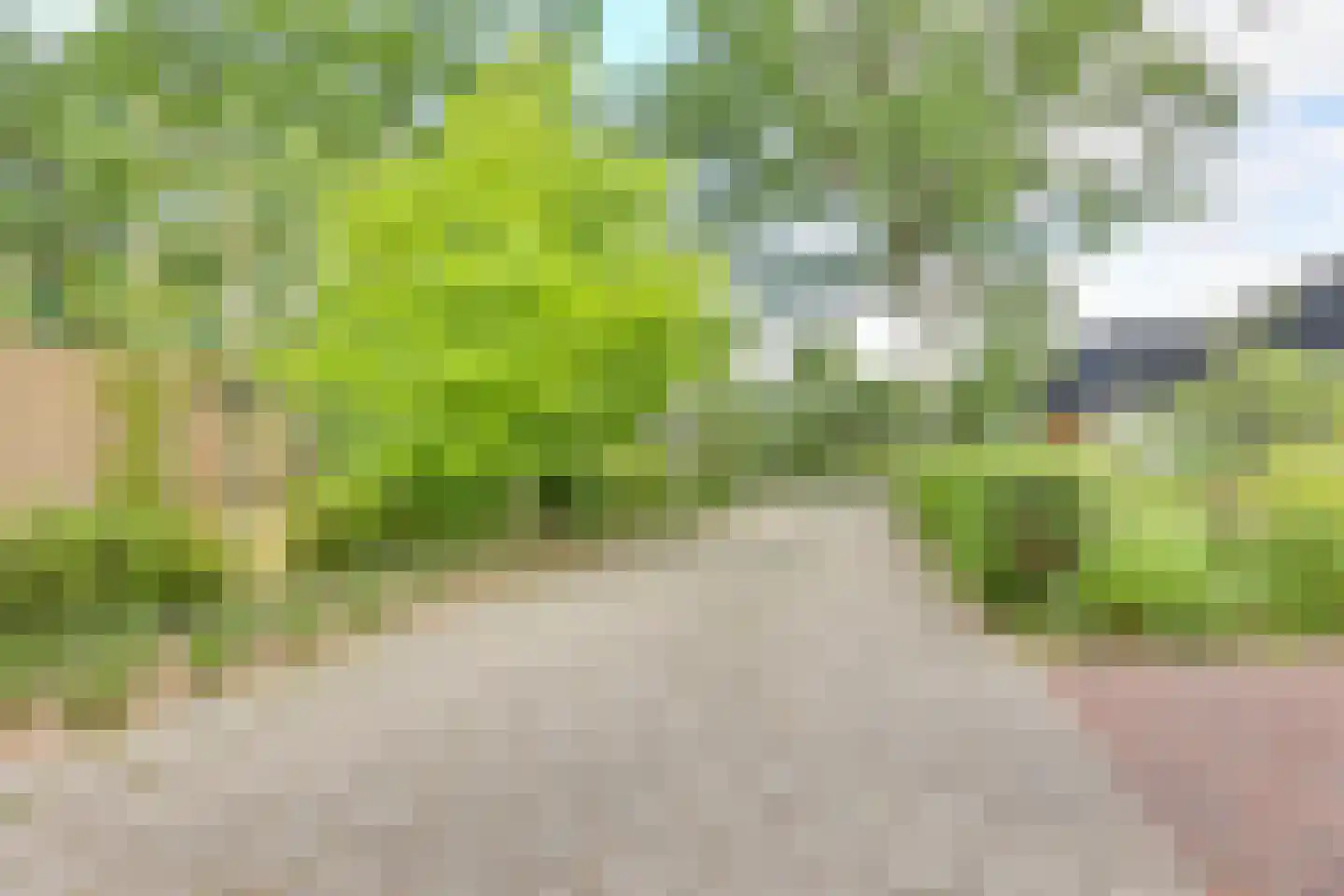 Houtweg 33 Holten thumbnail 41
