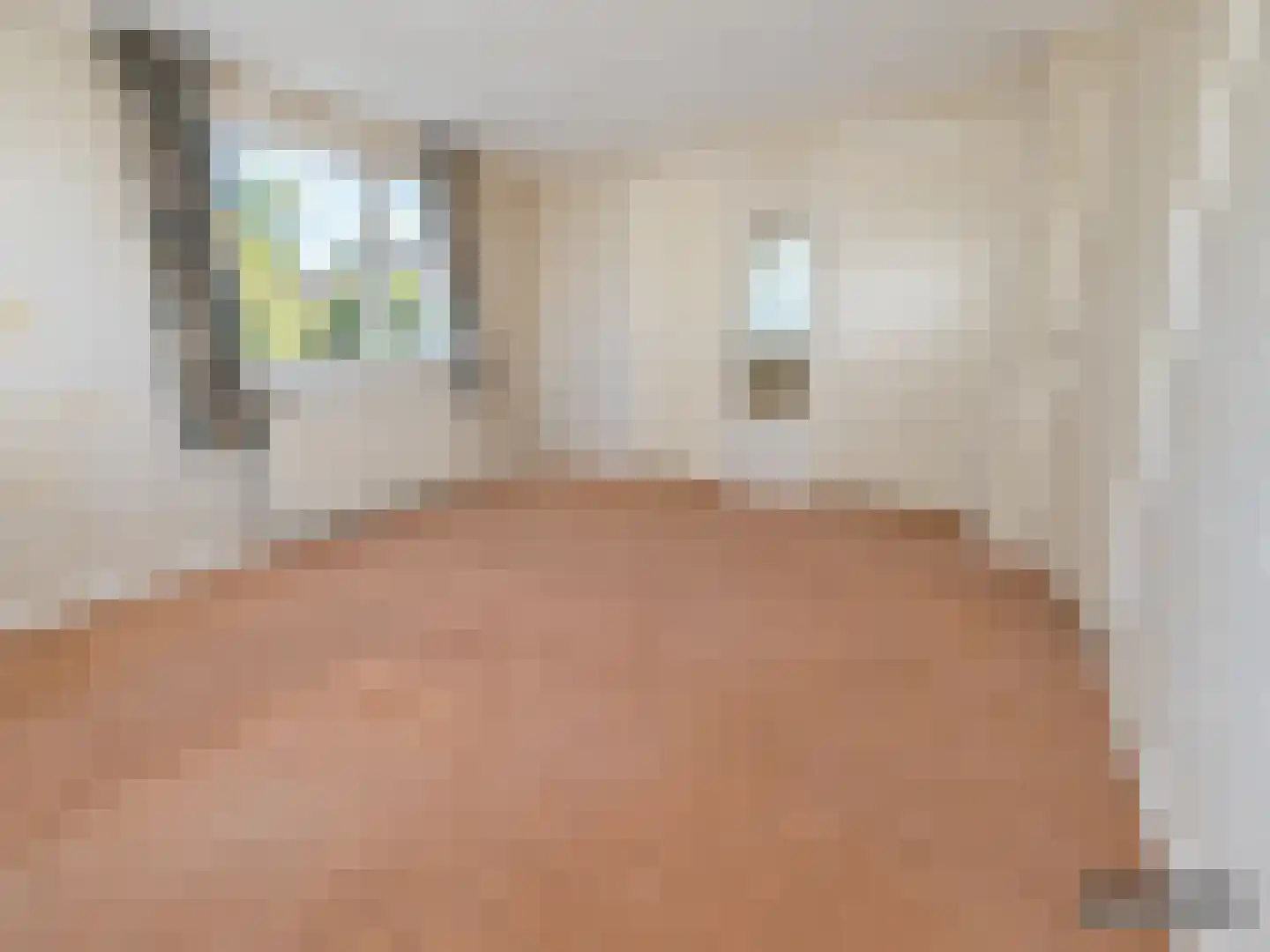 Houtweg 36 Olst thumbnail 15