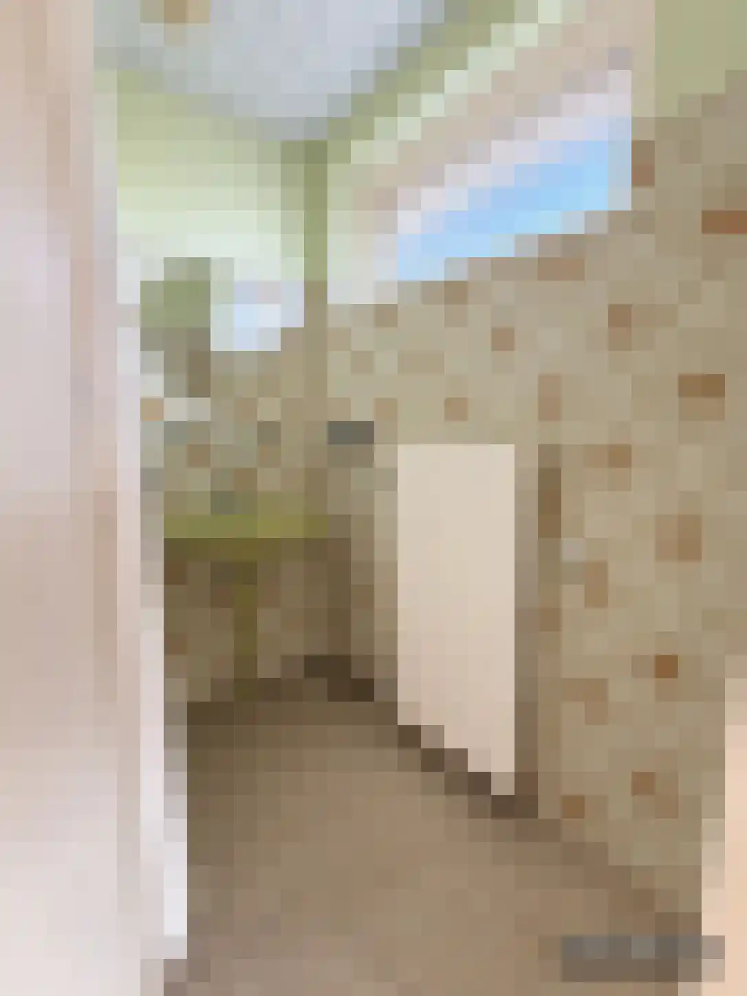 Houtweg 36 Olst thumbnail 16