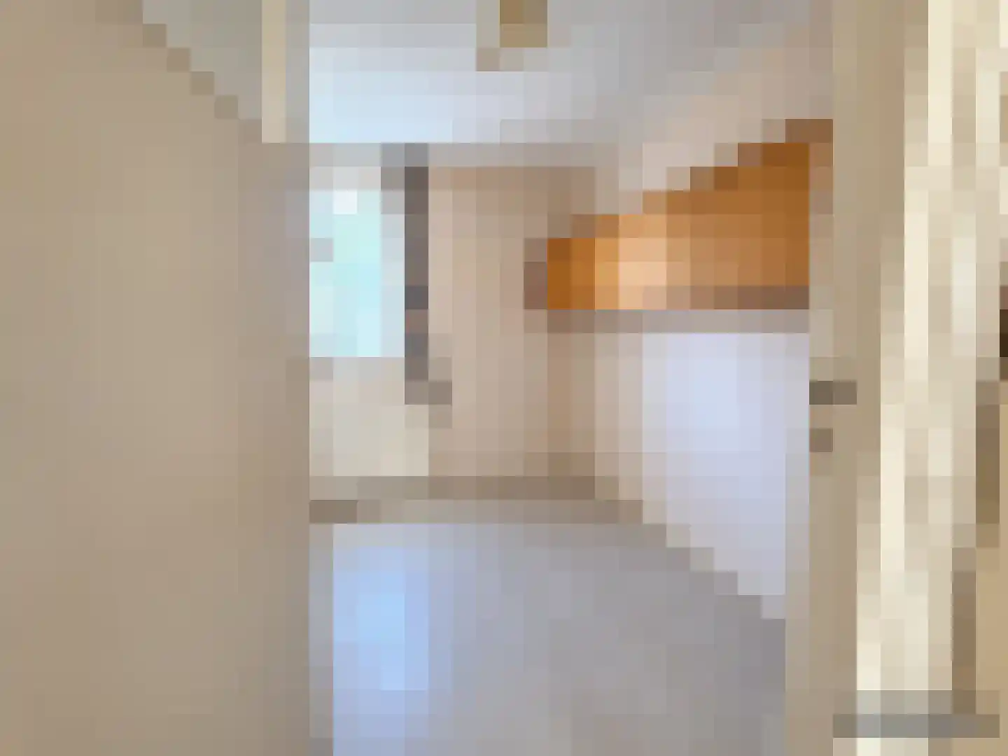 Houtweg 36 Olst thumbnail 17
