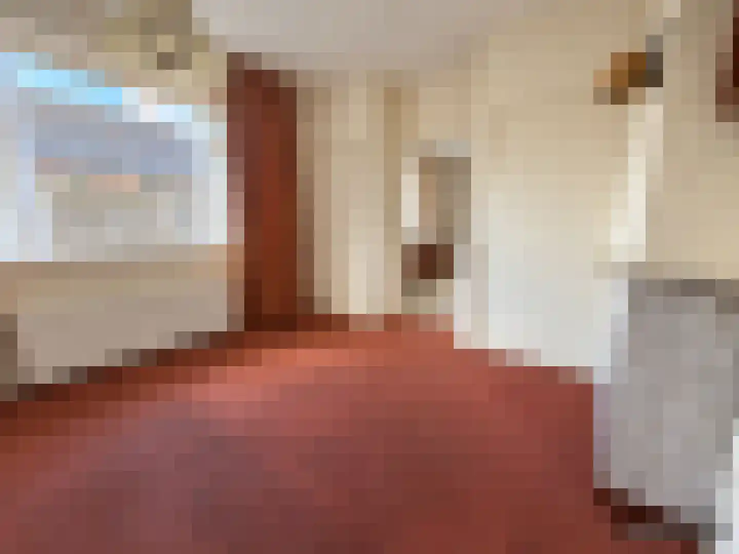 Houtweg 36 Olst thumbnail 7