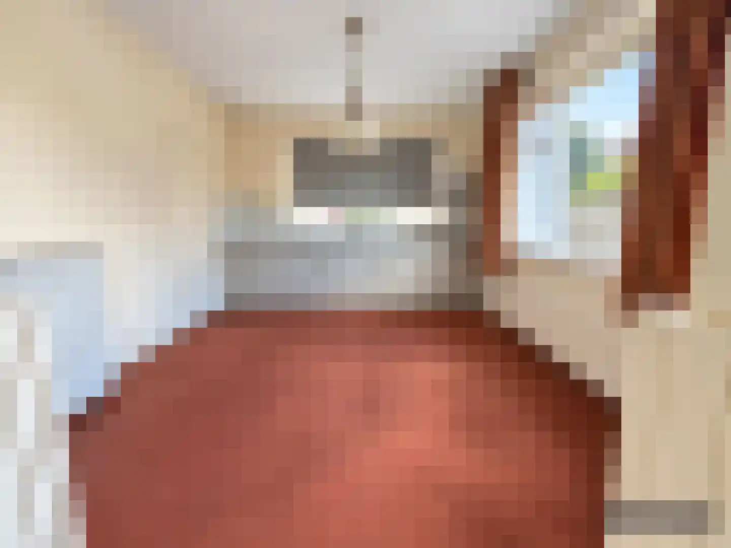 Houtweg 36 Olst thumbnail 8