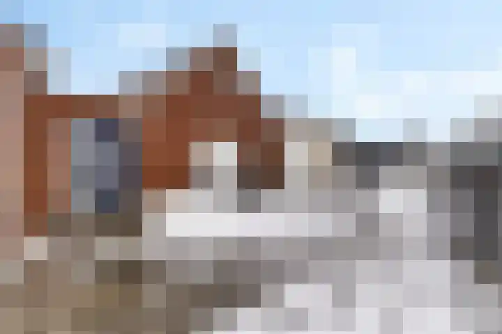 Houtweg 48 Farmsum thumbnail 10