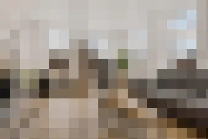 Houtweg 48 Farmsum thumbnail 16