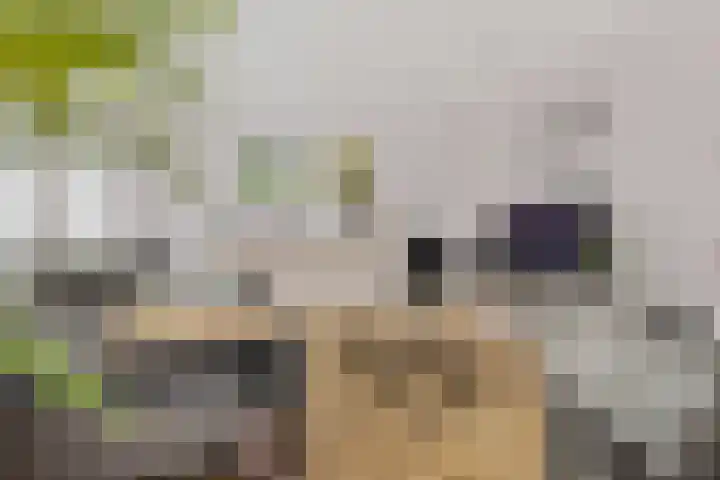 Houtweg 48 Farmsum thumbnail 18