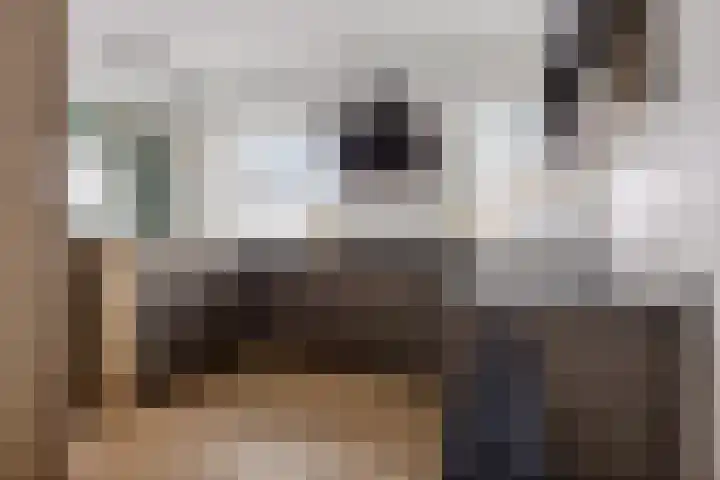 Houtweg 48 Farmsum thumbnail 21