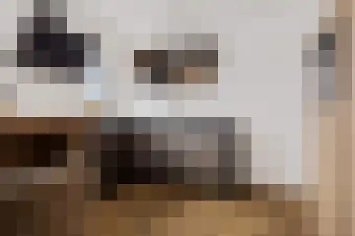 Houtweg 48 Farmsum thumbnail 24