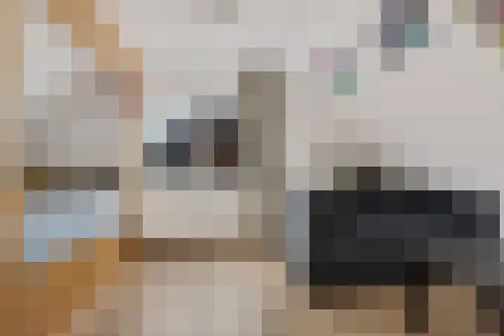 Houtweg 48 Farmsum thumbnail 34