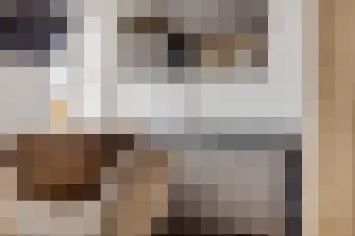 Houtweg 48 Farmsum thumbnail 4