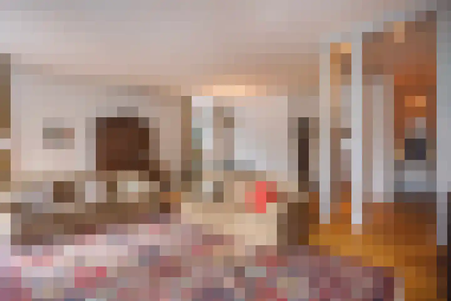 Houtweg 55 Den Haag thumbnail 11