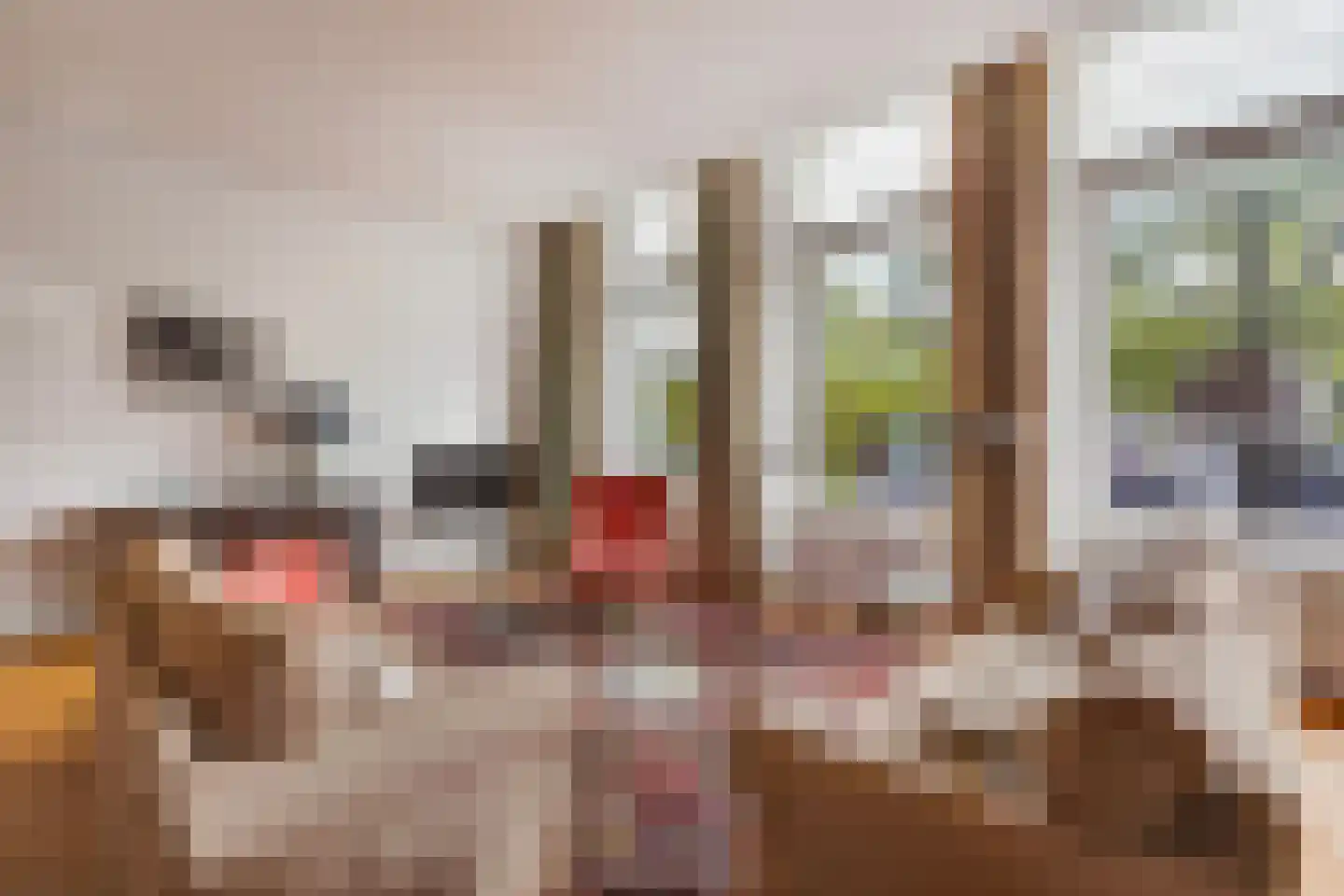Houtweg 55 Den Haag thumbnail 12