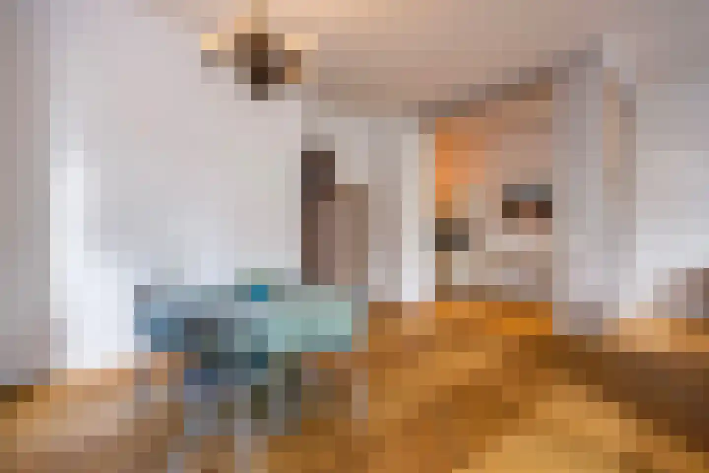 Houtweg 55 Den Haag thumbnail 15