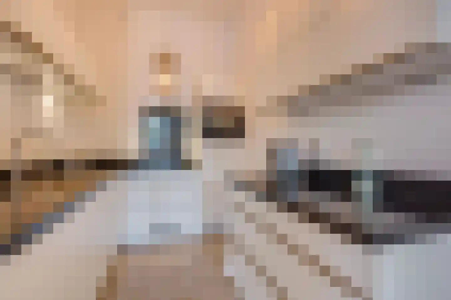 Houtweg 55 Den Haag thumbnail 17