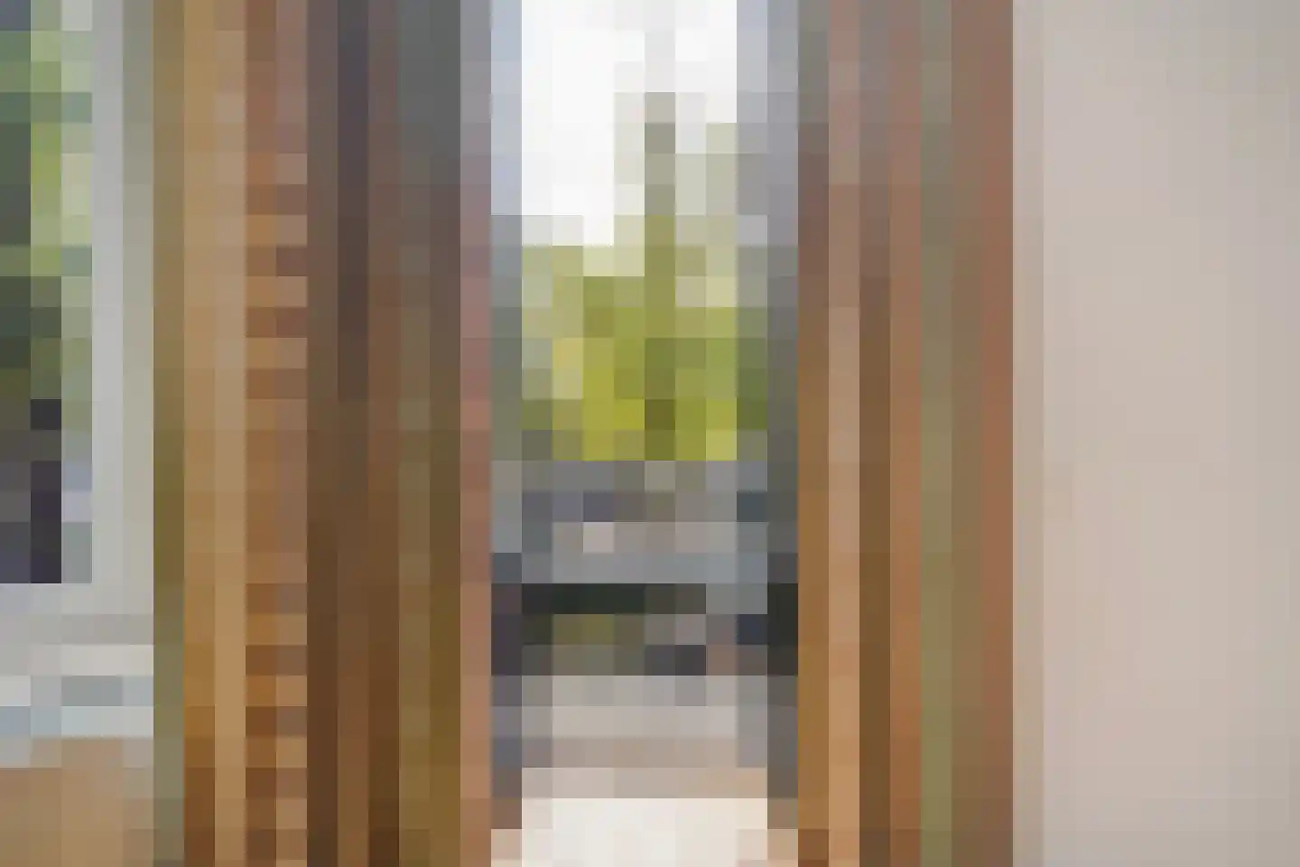 Houtweg 55 Den Haag thumbnail 33