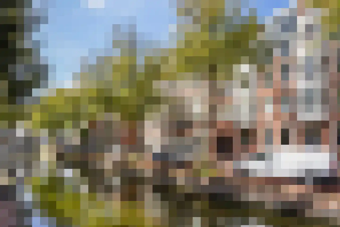 Houtweg 55 Den Haag thumbnail 36