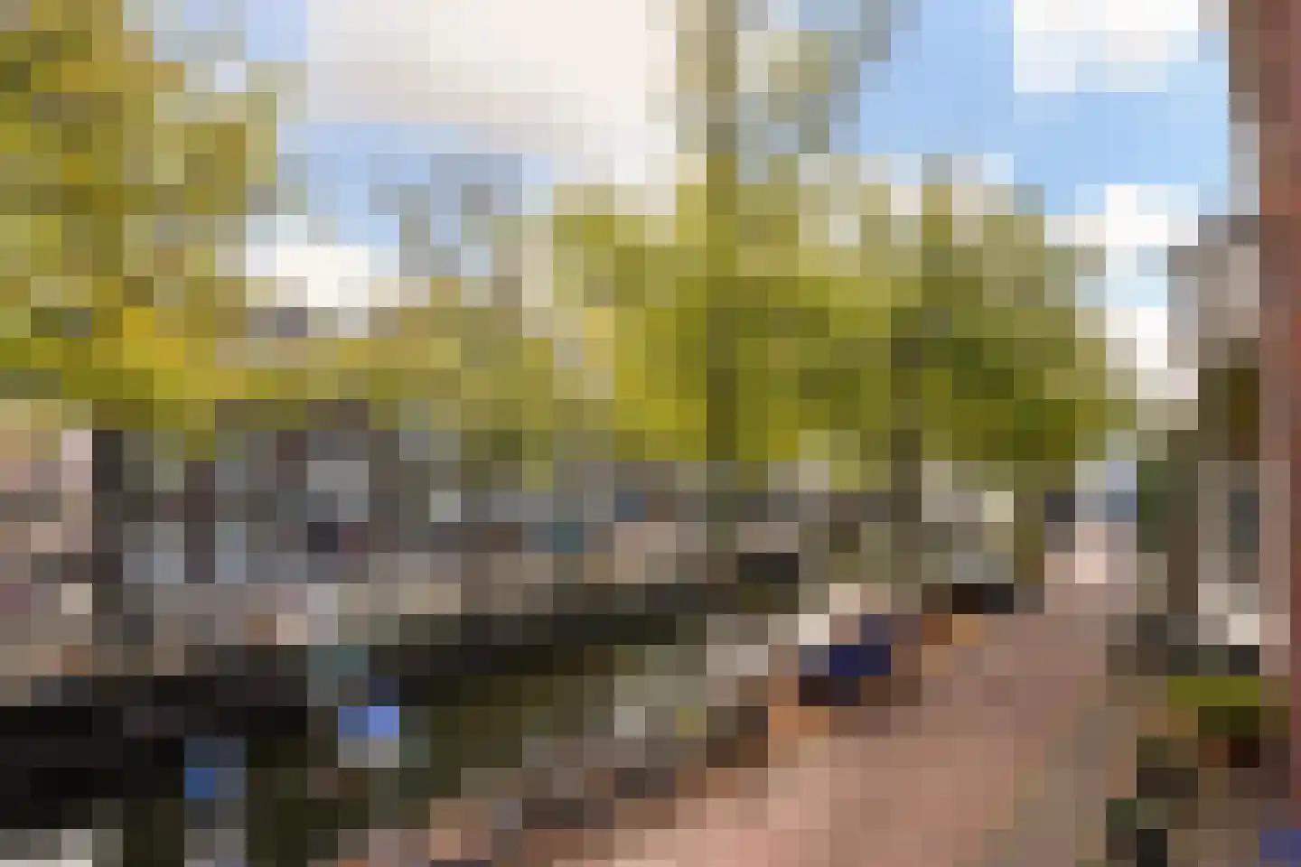 Houtweg 55 Den Haag thumbnail 39