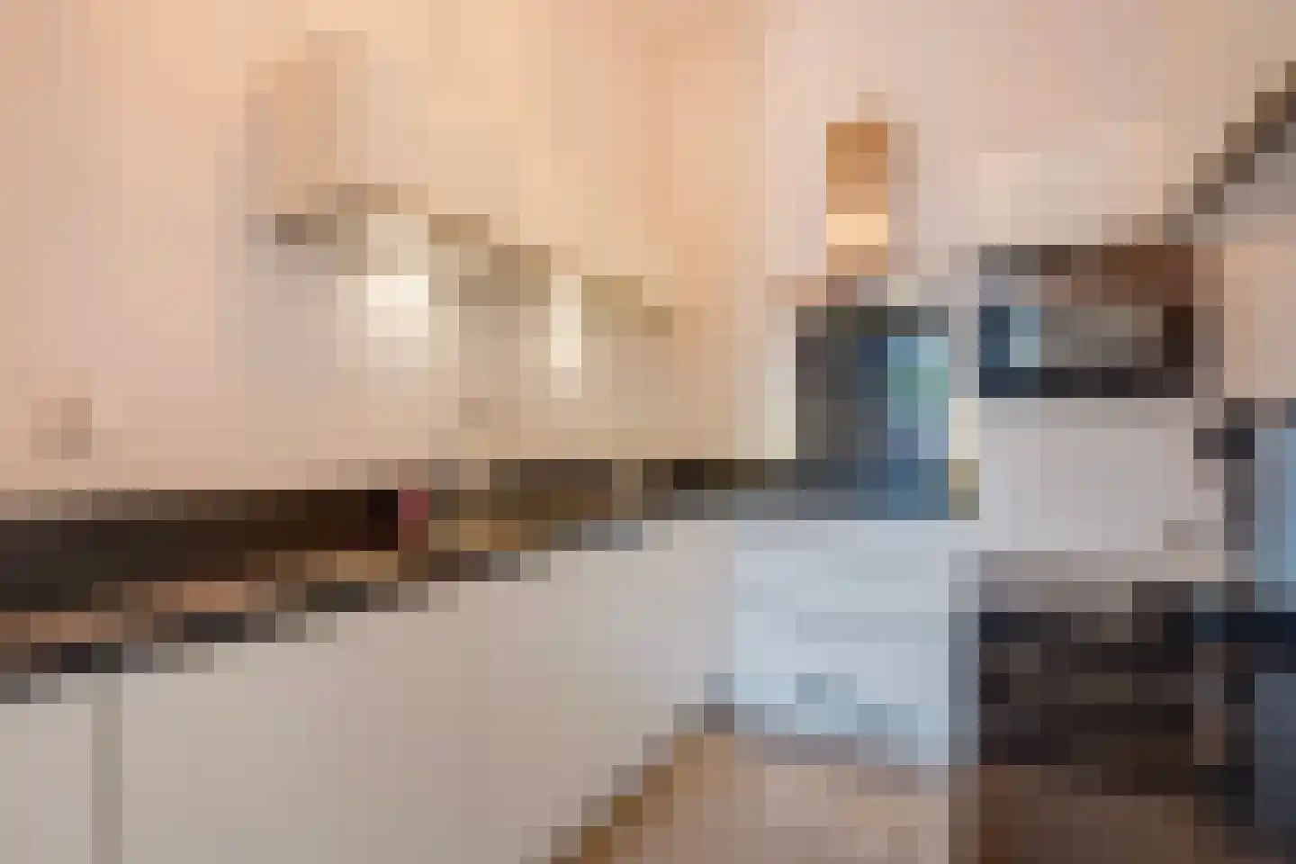 Houtweg 55 Den Haag thumbnail 4