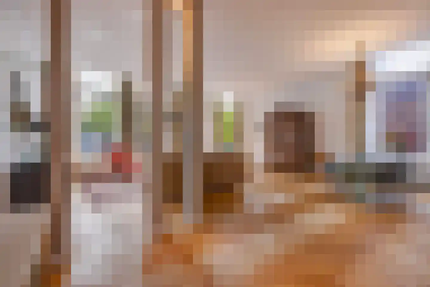 Houtweg 55 Den Haag thumbnail 46