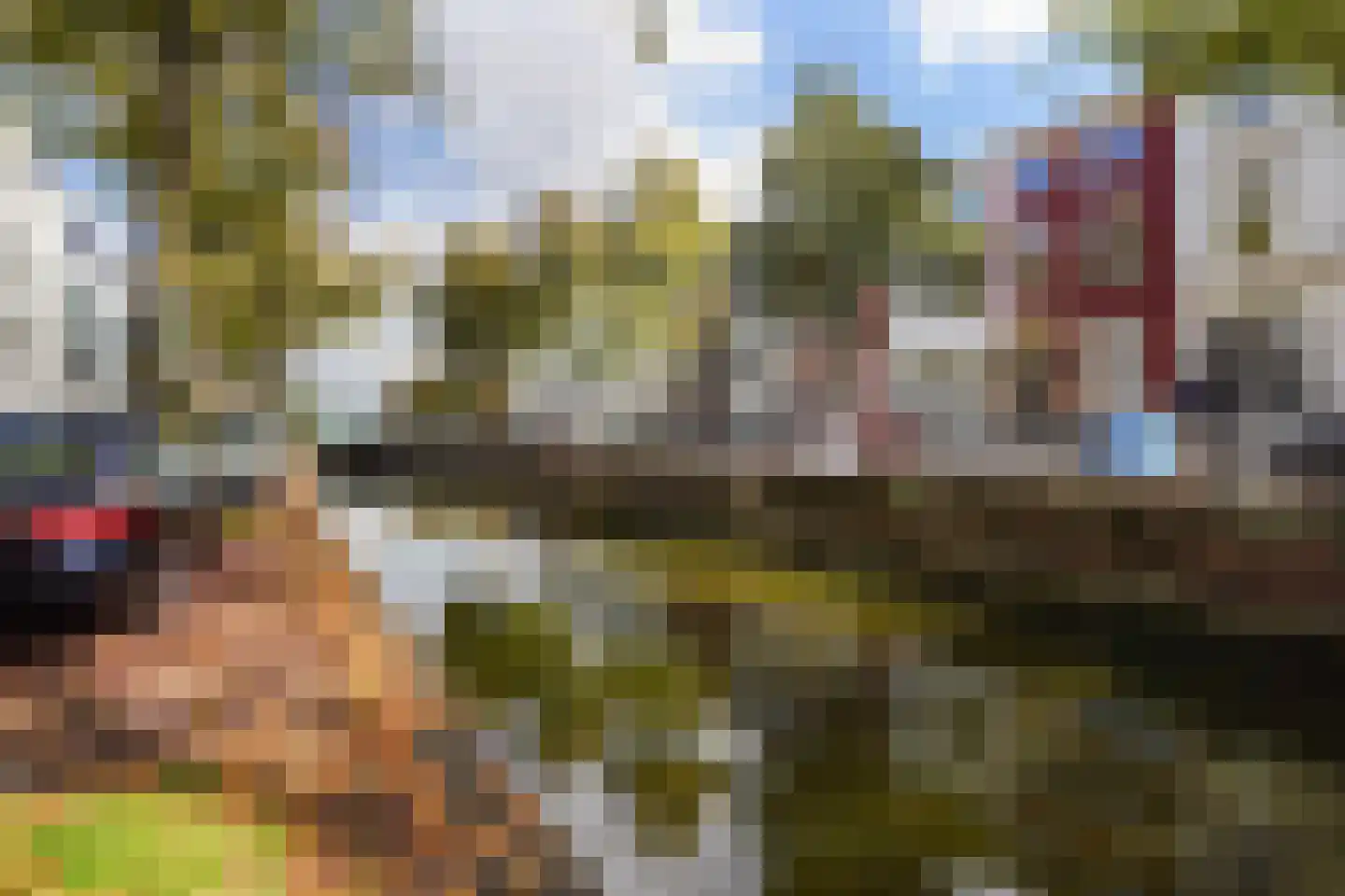 Houtweg 55 Den Haag thumbnail 5