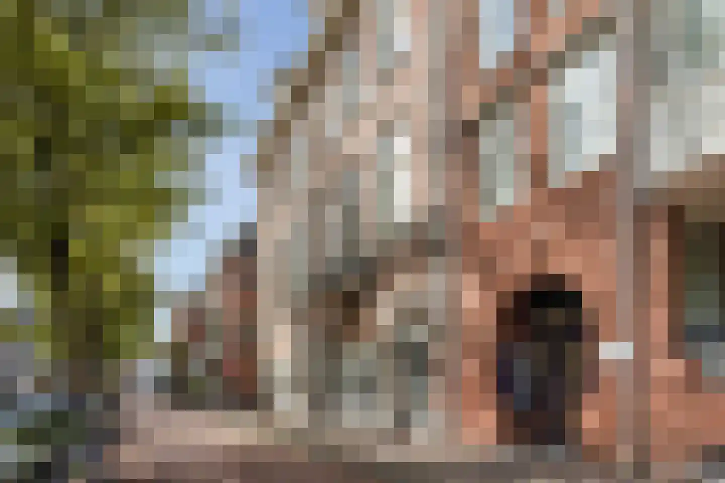 Houtweg 55 Den Haag thumbnail 50